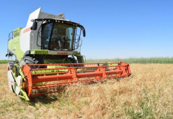 Күзгі жиын-терін. 423 мың тоннадан астам дизель жете ме?