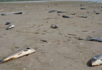 Вертолет вылетел на поиски погибшей кефали