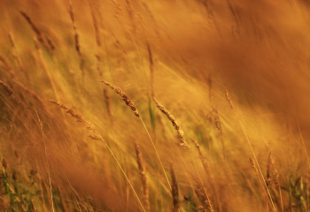 В 12 областях объявлено штормовое предупреждение