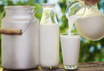 Қазақстан сүт өнімдерін экспорттауға дайындалып жатыр