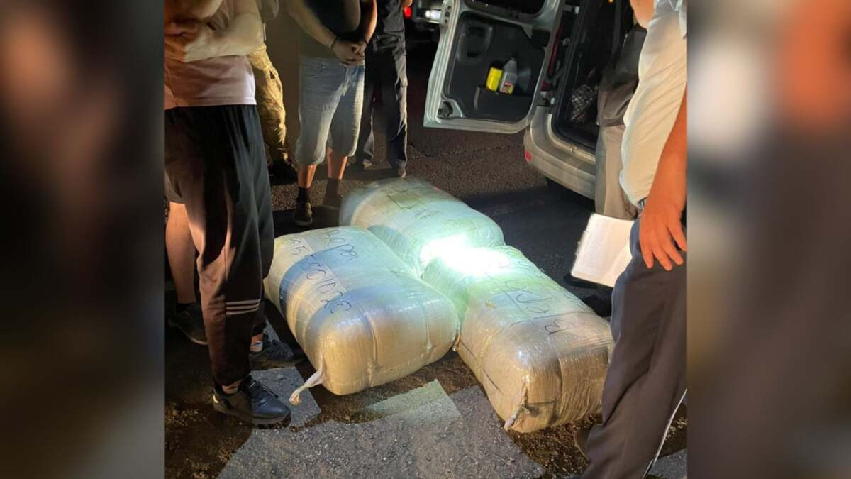 Более 100 кг наркотиков изъяли у жителя Костанайской области