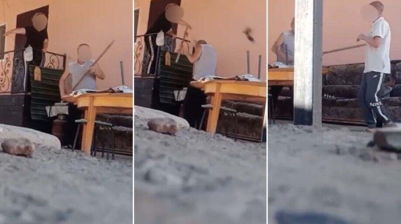  кадр из видеоролика  