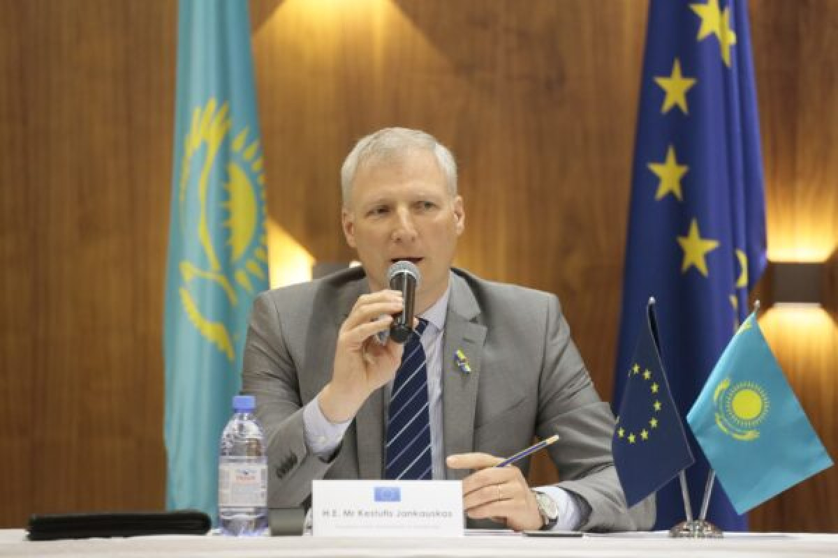 Ambassador of EU to Kazakhstan on President's Address