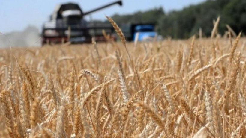  ашық дереккөзден 