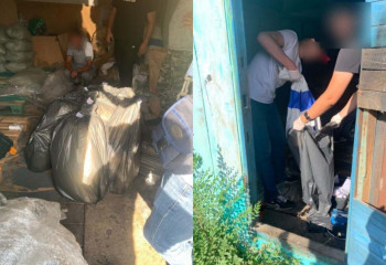 Павлодарлық тұрғыннан 18 қап көкнәр тәркіленді