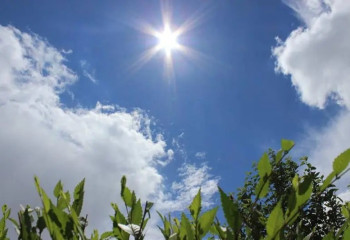 Бүгін барлық өңірде күн ыстық болады