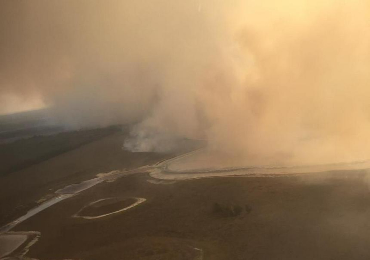 Общая площадь лесного пожара в Костанайской области превысила 9 400 га
