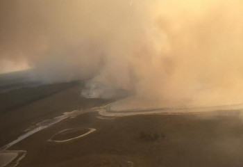 Общая площадь лесного пожара в Костанайской области превысила 9 400 га