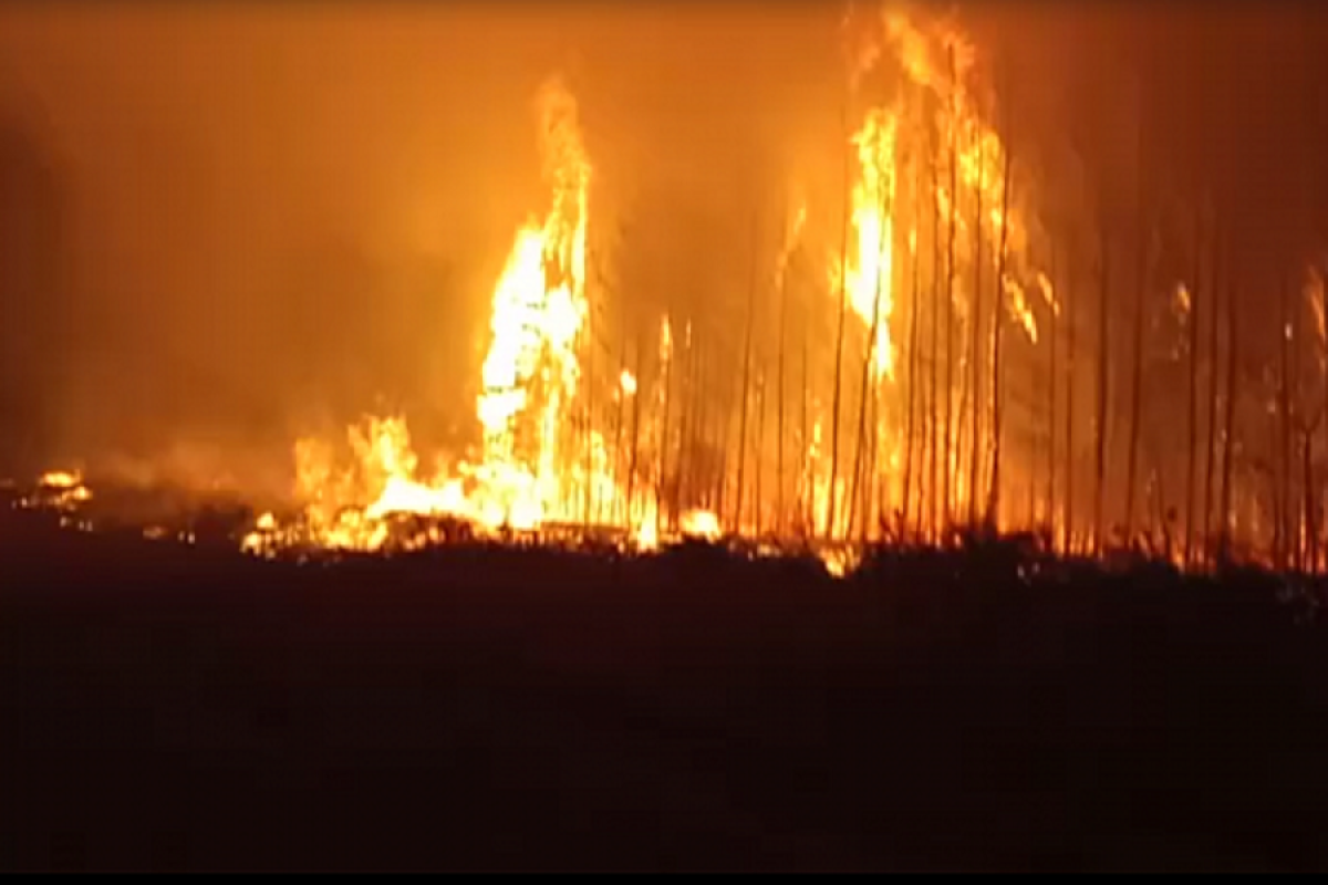 Несколько пожаров ликвидировали в ряде регионов Казахстана