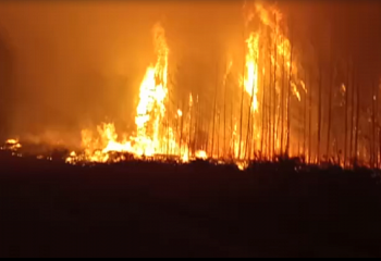 Несколько пожаров ликвидировали в ряде регионов Казахстана