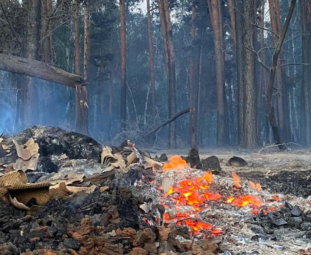 Тушение лесного пожара в Костанайской области продолжается - МЧС 