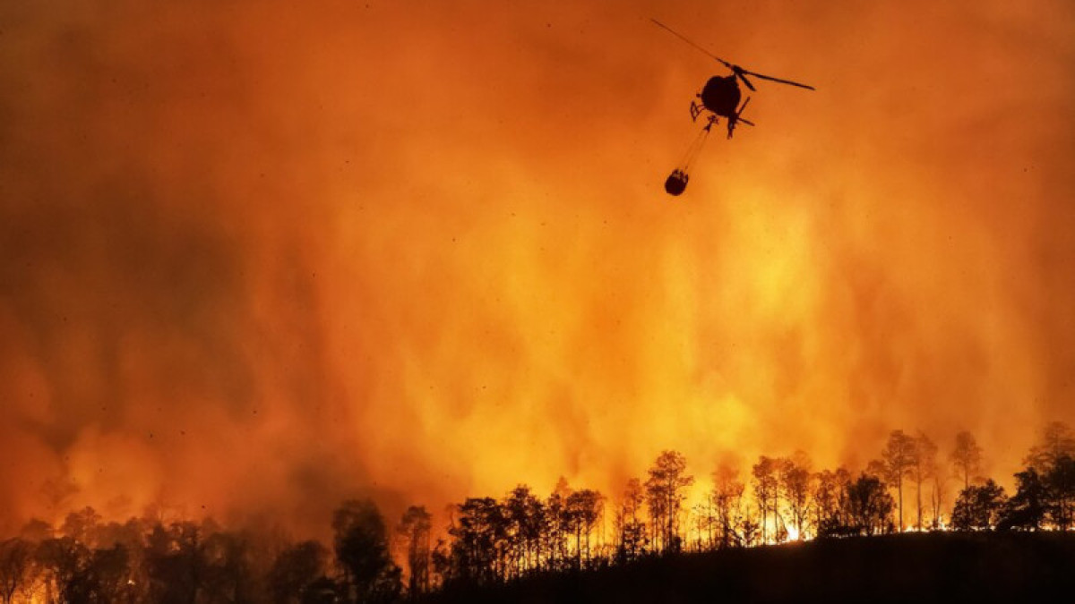 Крупные лесные пожары бушуют сразу в нескольких странах мира