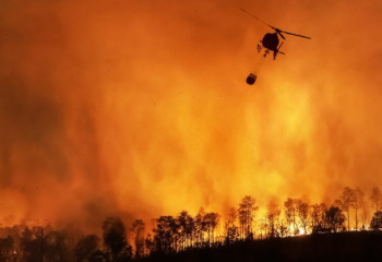 Крупные лесные пожары бушуют сразу в нескольких странах мира