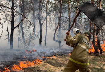В Костанайской области продолжают борьбу с лесными пожарами