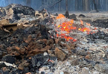 Қостанайдағы орман өртінен бір адам қаза тапты