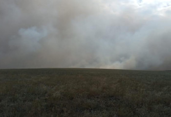 Батыста да жайылым алқаптары өртеніп жатыр