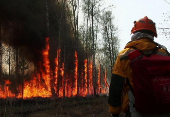 Әлемді шарпыған тілсіз жау