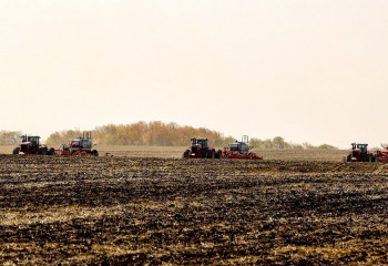 Агрострахование: что может застраховать фермер?