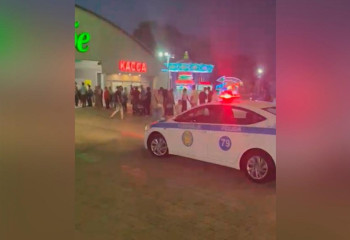 Пожар на Кок-Тобе ликвидировали