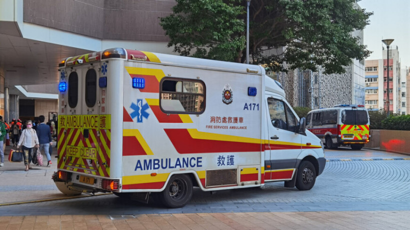  Shutterstock/FOTODOM 