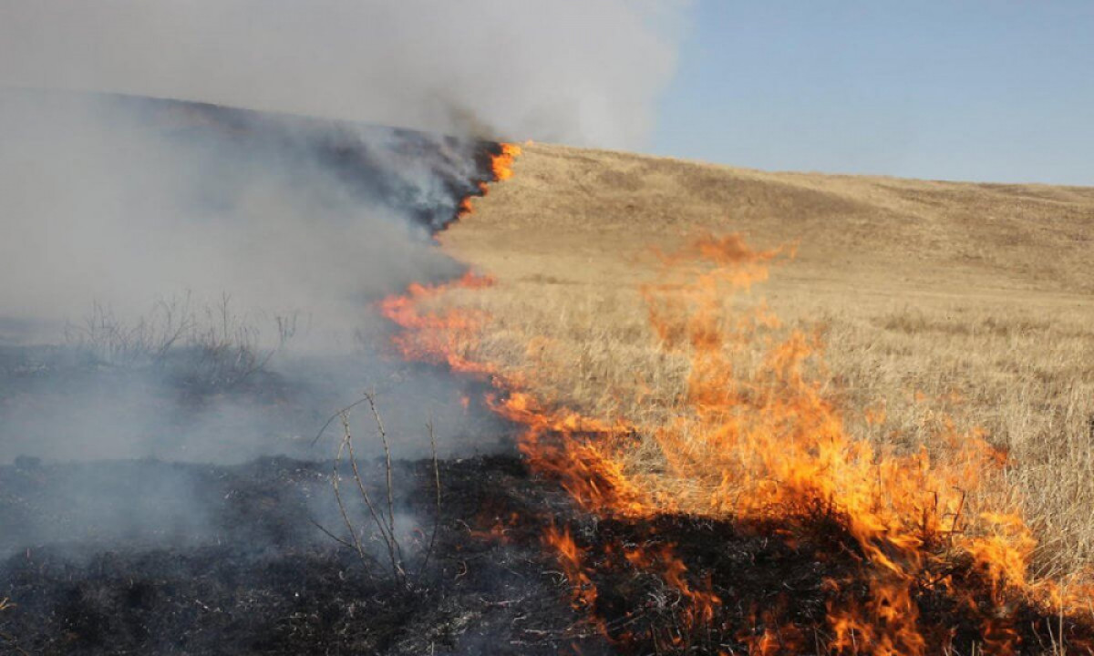  ашық дереккөзден 