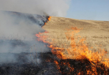6 қыркүйекке арналған ауа райы болжамы
