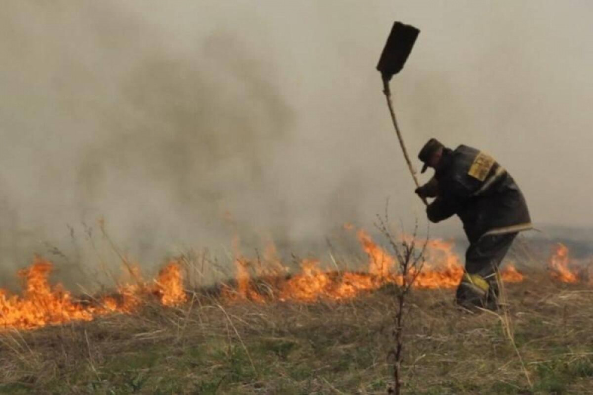  ашық дереккөзден 