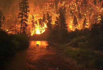 Табиғи апат кезіндегі әлеуметтік көмек