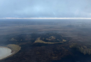 Қостанай облысы Әулиекөл ауданындағы табиғи өрт сөндірілді