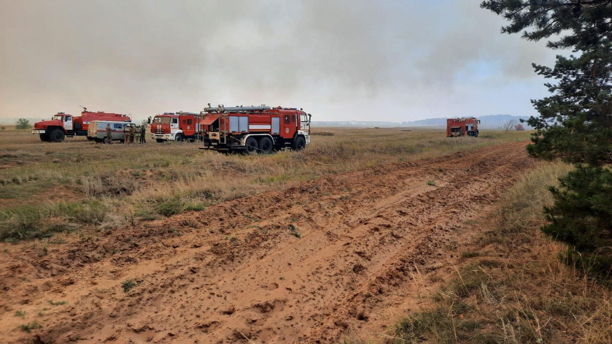 Казахстанцы собрали полмиллиарда тенге пострадавшим от лесных пожаров в Костанае