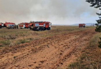 Казахстанцы собрали полмиллиарда тенге пострадавшим от лесных пожаров в Костанае