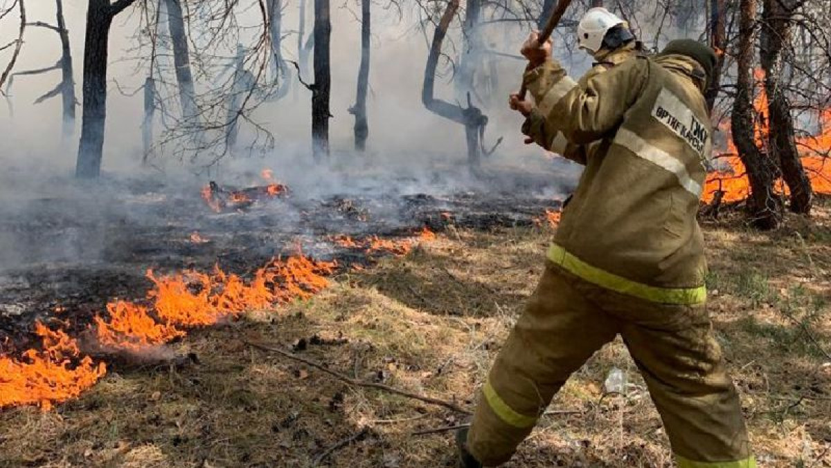 Пожарный погиб при тушении сухостоя в Абайской области 