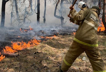 Пожарный погиб при тушении сухостоя в Абайской области 