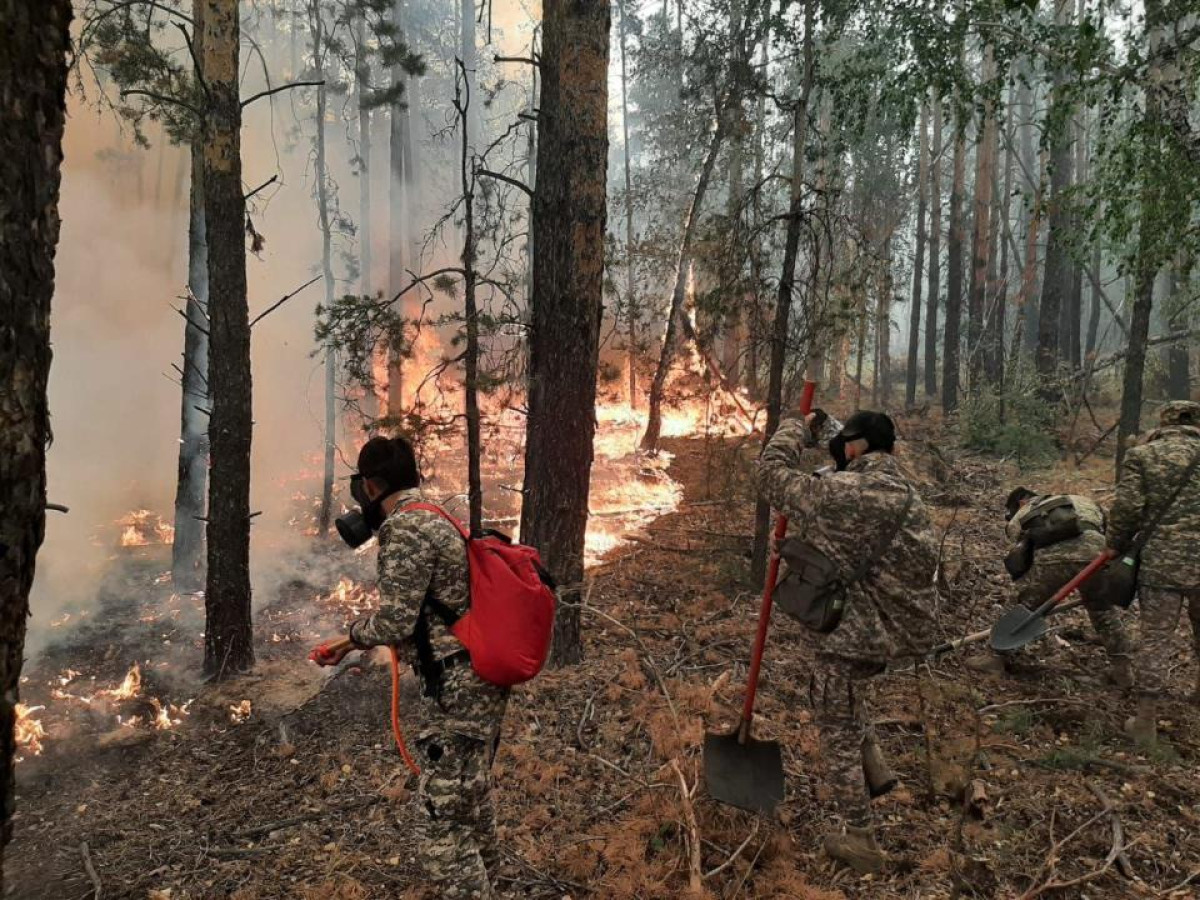 Военнослужащие завершили работы по ликвидации пожара в Костанайской области