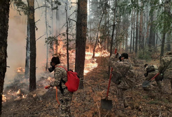 Военнослужащие завершили работы по ликвидации пожара в Костанайской области