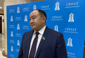 Дамыған елдердің көбінде бір реттік сайлау жүйесі бар – депутат 