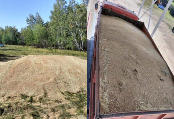 СҚО полицейлері 1,5 миллион теңгеге жуық астық ұрлығының жолын кесті 