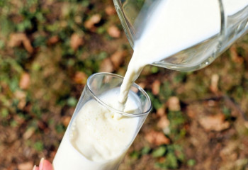 Қазақстанда сүт өнімдері қымбаттады