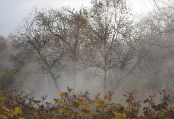 Штормовое предупреждение объявлено в 15 областях Казахстана