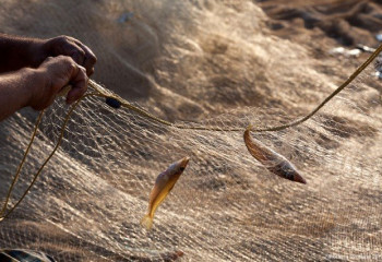 Рыбаков оштрафовали в Мангистау