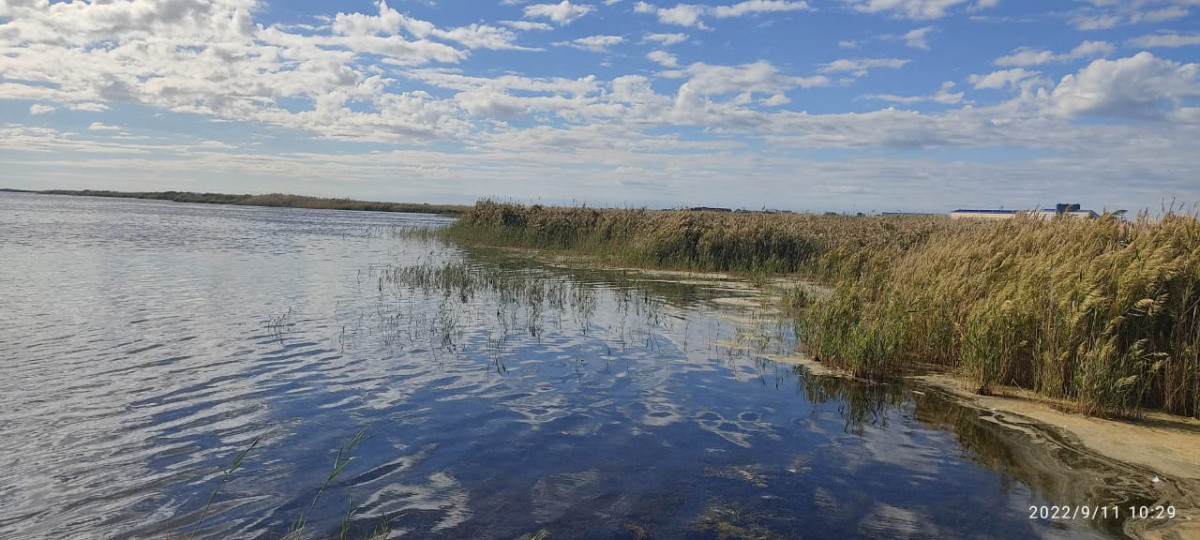  Управление рыбной инспекции Мангыстауской области 