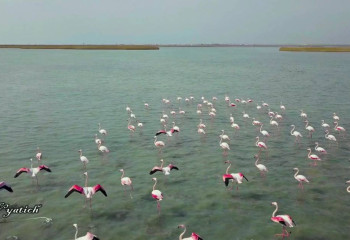 На западе Казахстана мелеет озеро Караколь