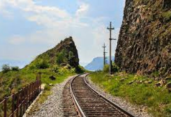 Поезд сбил более 120 голов овец в Алматинской области