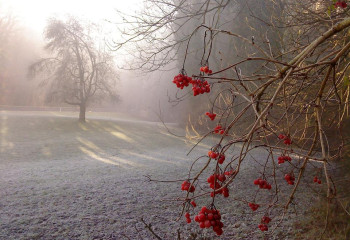 На большей части Казахстана объявлено штормовое предупреждение