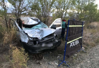 ШҚО-да жылқыға соғылған көлік жүргізушісі мерт болды