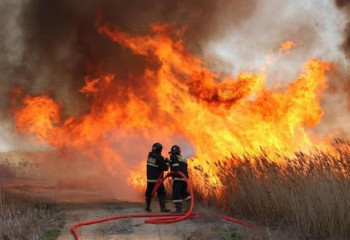 Шығыс Қазақстан облысындағы өрт сөндірілді