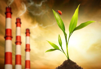 Инвестор решит проблему хвостохранилища свинцово-цинкового комбината в Текели