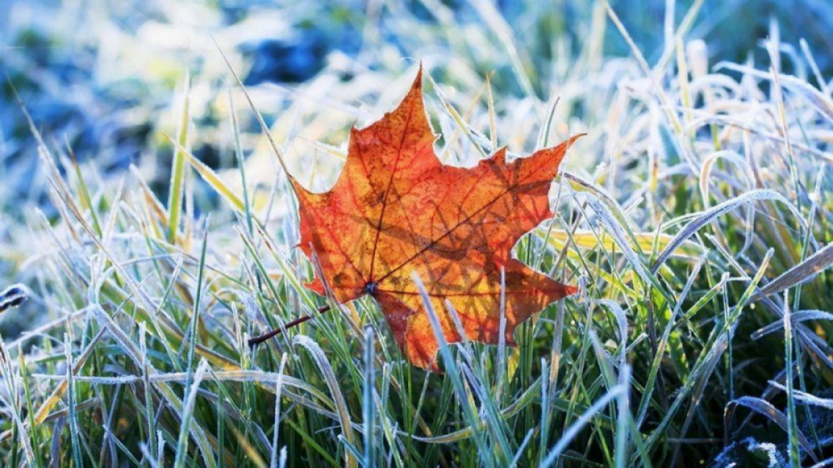  ашық дереккөзден 