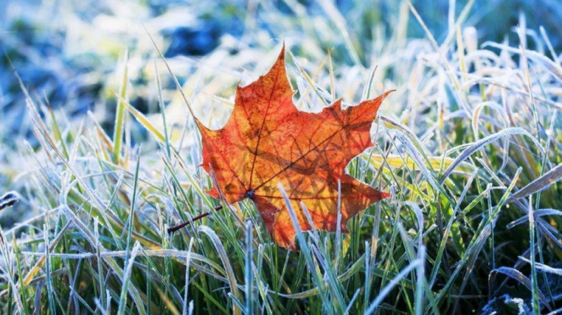  ашық дереккөзден 