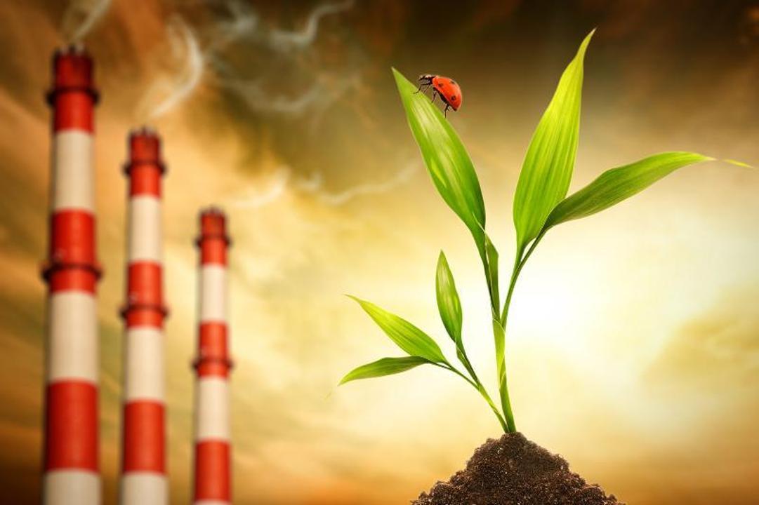  Пресс-служба акима области Жетісу 